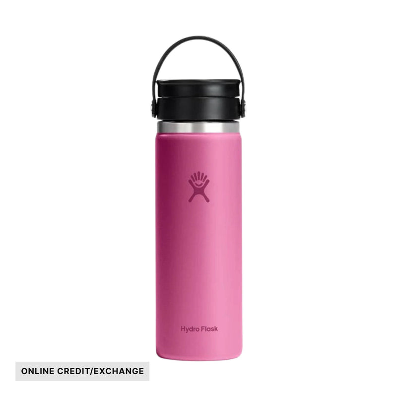 Hydro Flask 20oz Coffee Flask With Flex Sip Lid - Reef