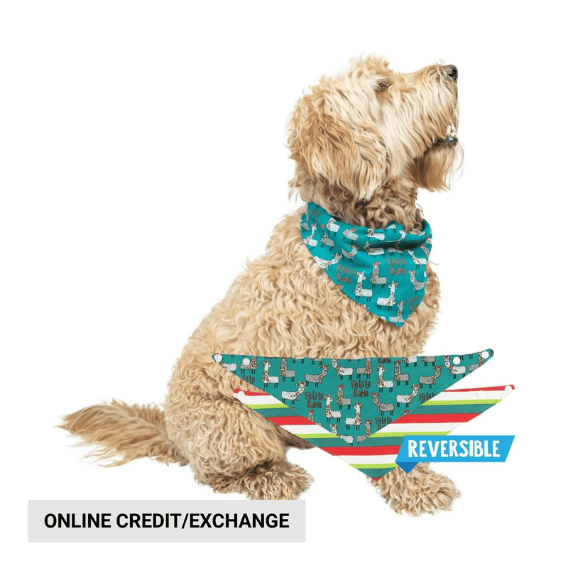 Lazy One Fa La La Llama Dog Bandana - Blue/ White/ Red/ Green